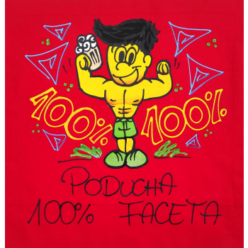 [Db49] Poduszka bawełniana Poducha 100% Faceta